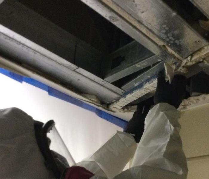 Technician in full PPE removing drywall ceiling from commercial building metal studs